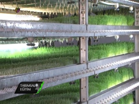 Novatom Taze Yem (Ot) Makinaları Fresh Feed Machins) Bereket TV Tarımsal Mekanizasyon Eğitim Programı Yayını Türkçe