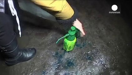 Ukrainian opposition leader gets a face full of paint