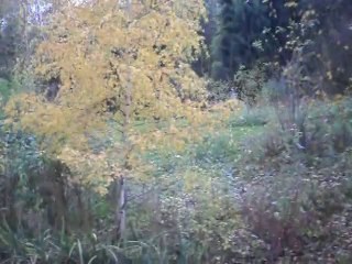 01 Disneyland Paris (2009) Christine