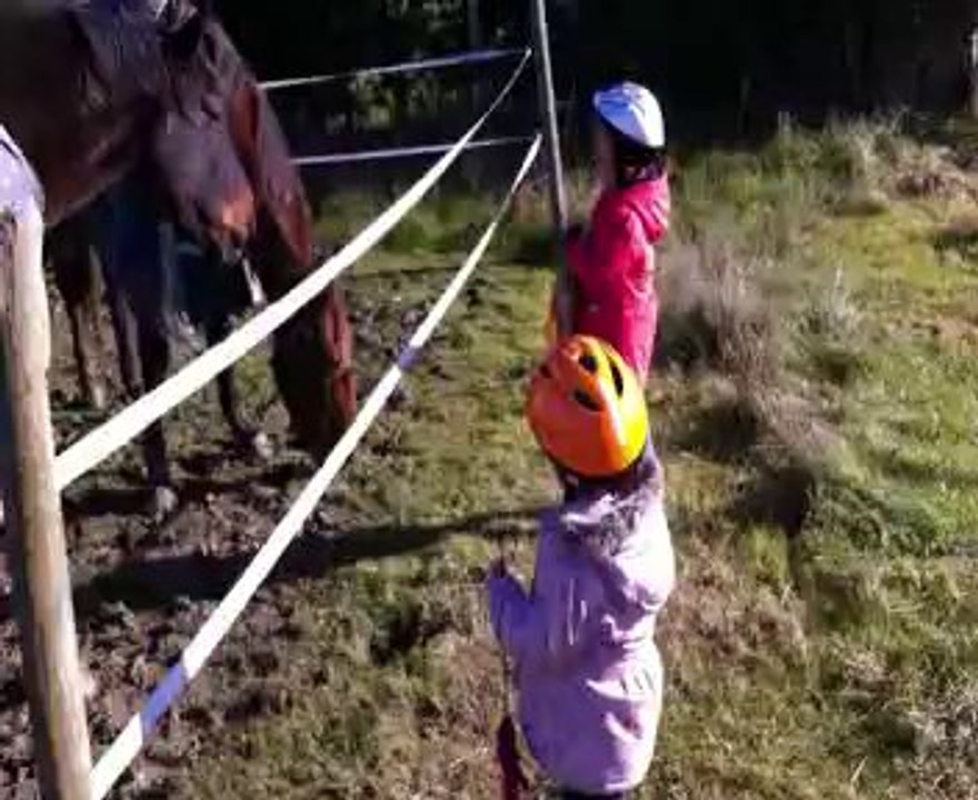 mercredi à Brax 1