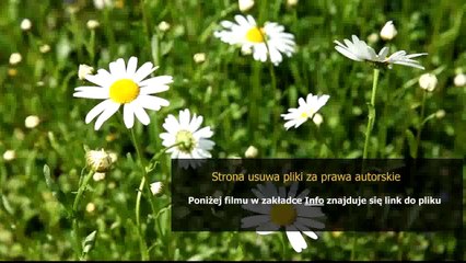 service manual bosch tca 5201