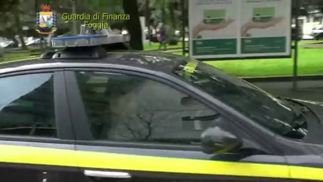 Foggia - Frode al Sistema Sanitario Nazionale (12.02.14)