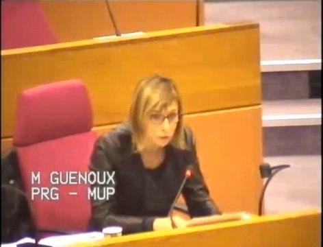 Région IDF - Question d'actualité de Muriel GUENOUX (PRG) sur la formation professionnelle et l'apprentissage