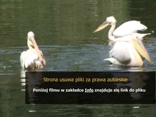 bosch pia611t14e instrukcja obslugi