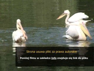 lol poradnik do wszystkich postaci