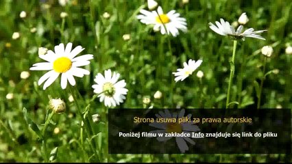 lol poradnik do wszystkich postaci