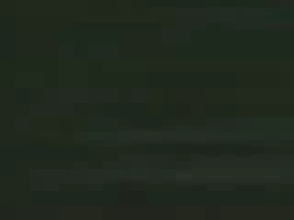 pub - avista language