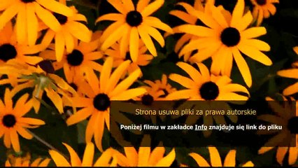instrukcja do gry planszowej wielki biznes