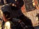 Dying Light | "Humanity" Gameplay Trailer | EN