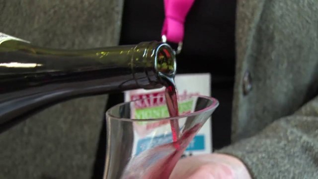 Salon des Vignerons et des Terroirs: 8ème édition