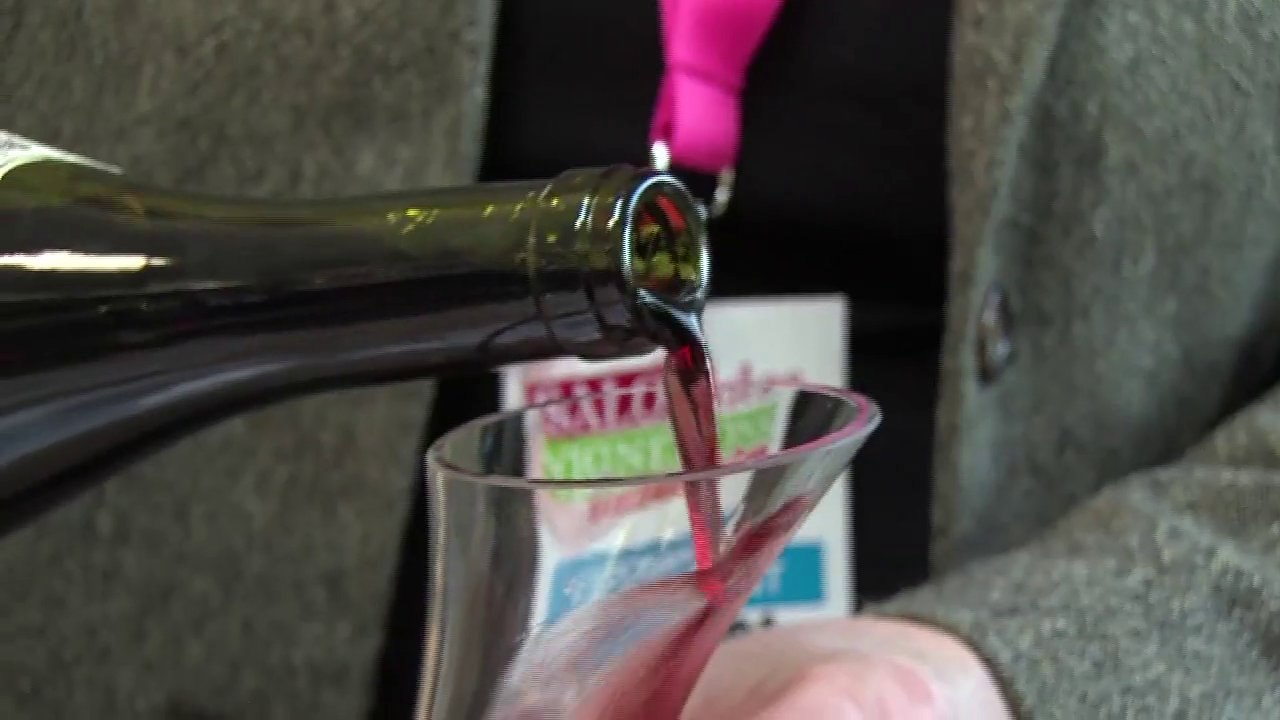 Salon des Vignerons et des Terroirs: 8ème édition