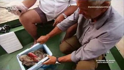 MdR.1x6 con Jeremy Wade.Devoradores del amazonas.Full.by Geo.