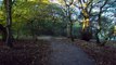 Eastham Woods Country Park Frodsham Cheshire West and Chester
