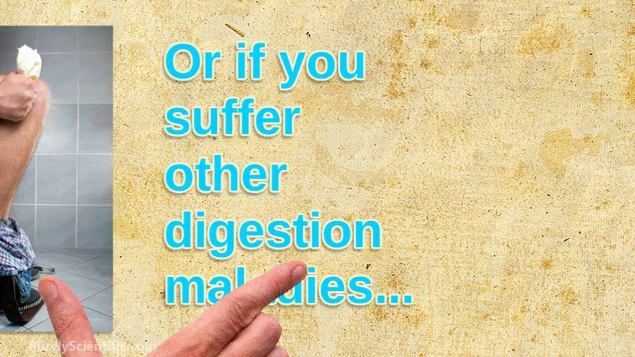 Digestive Enzymes And Probiotics: The Help You Need If You Have Digestive Problems