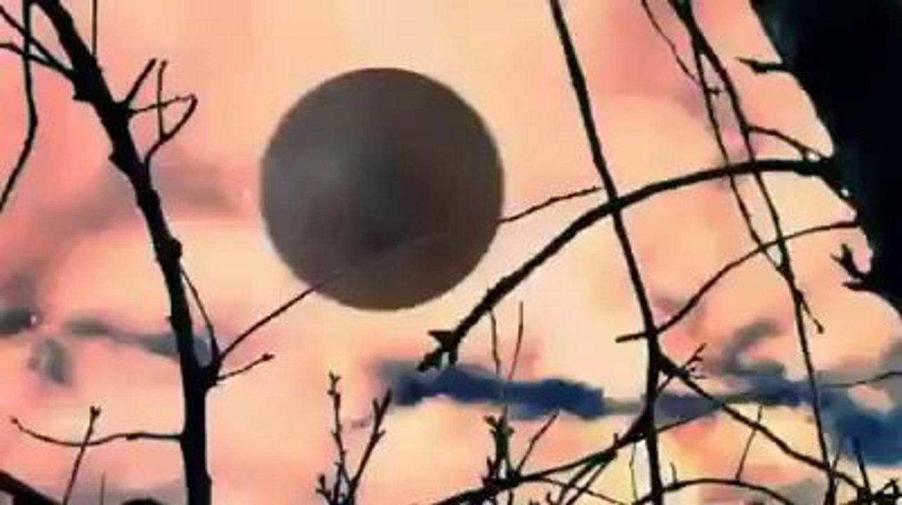 Incredibile quello che riesce a fare questa ragazza