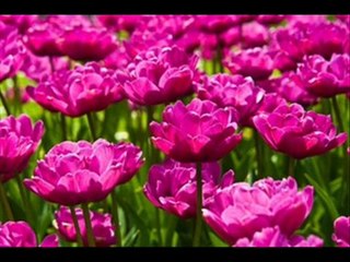 ανδρέας μπέμπος +  ΚΑΛΟΓΙΑΝΝΗΣ ΩΡΑ ΜΗΔΕΝ