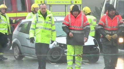 Wild Wednesday: Huge tree crashes into River Severn