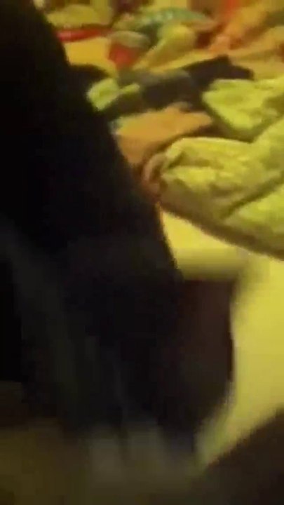 George, die sprechende Katze