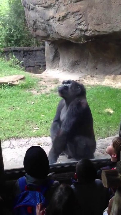 Gorilla erschreckt die Kinder