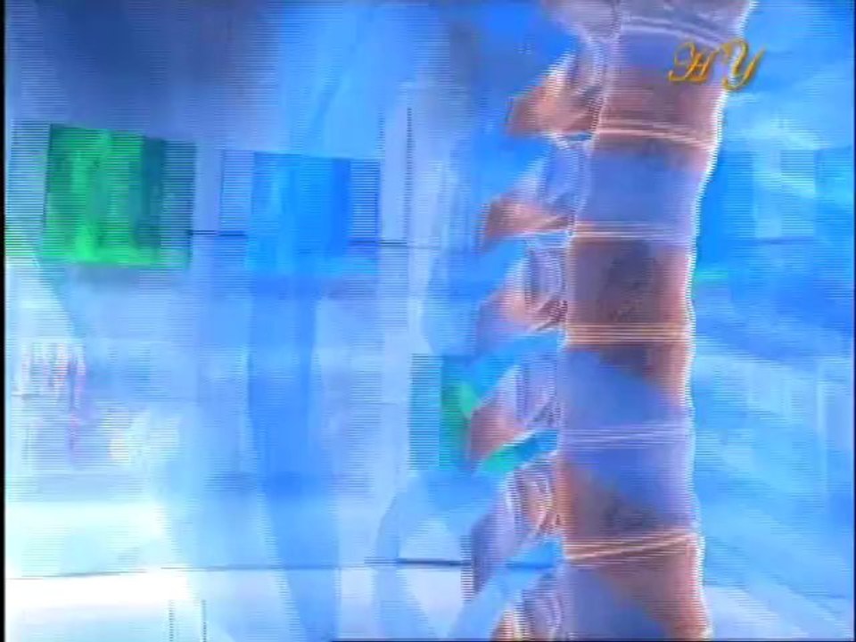 The feet that support the bones