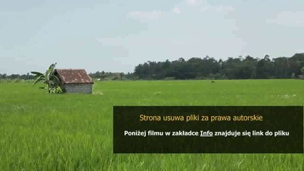 sposob na meszki w ogrodzie