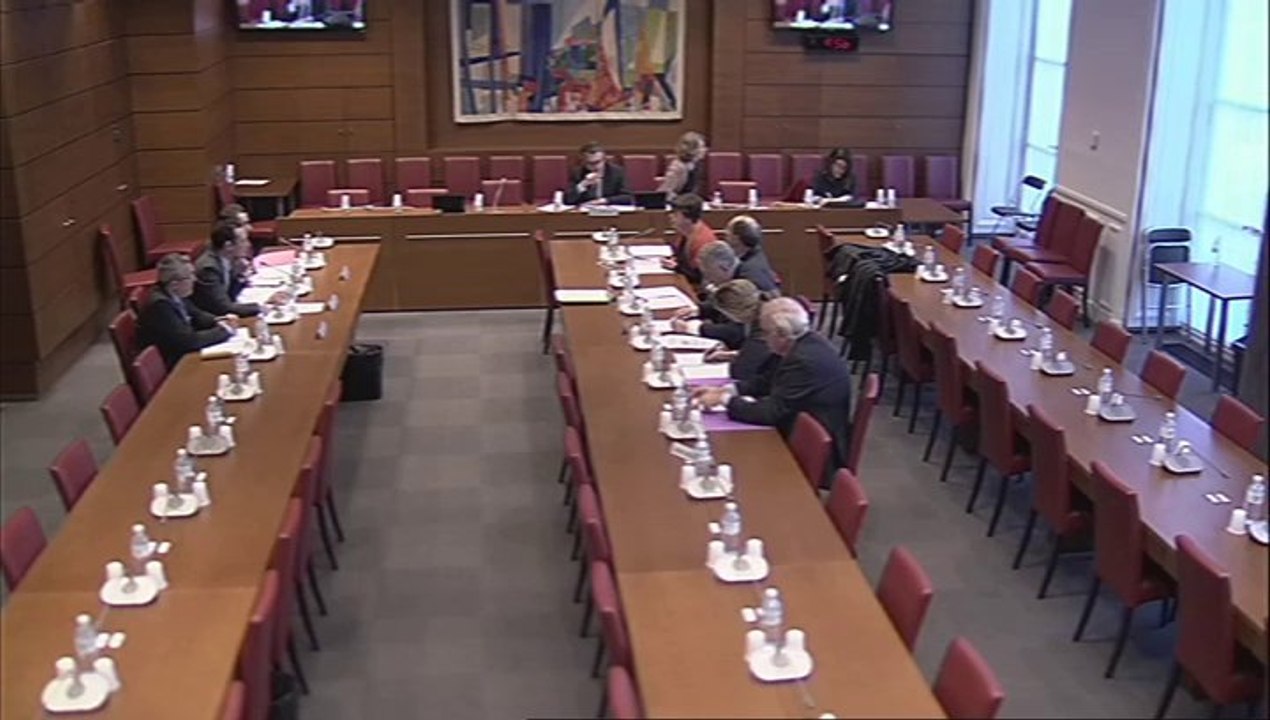 Audition de représentants de la direction de la législation fiscale du ministère de l'économie et des finances