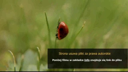 poradnik dla xeratha