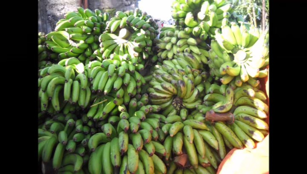 tsinimoi soulouhou 4
