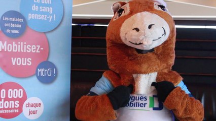 Neknomination de Pottoka : Donnez votre sang !