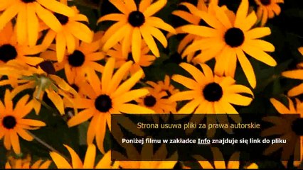 sposob na dluga grzywke