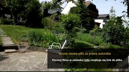 instrukcja sony alfa 550