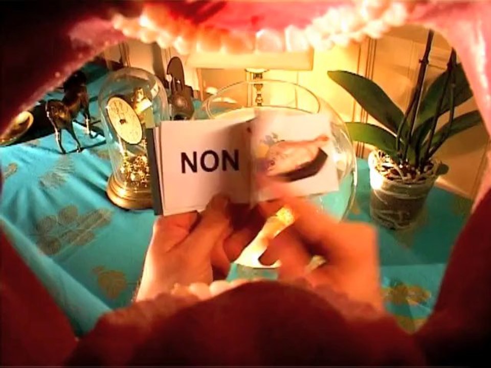 Alex et sa guitare - clip régime