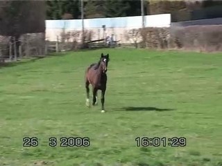 "Rafale" de galops ...