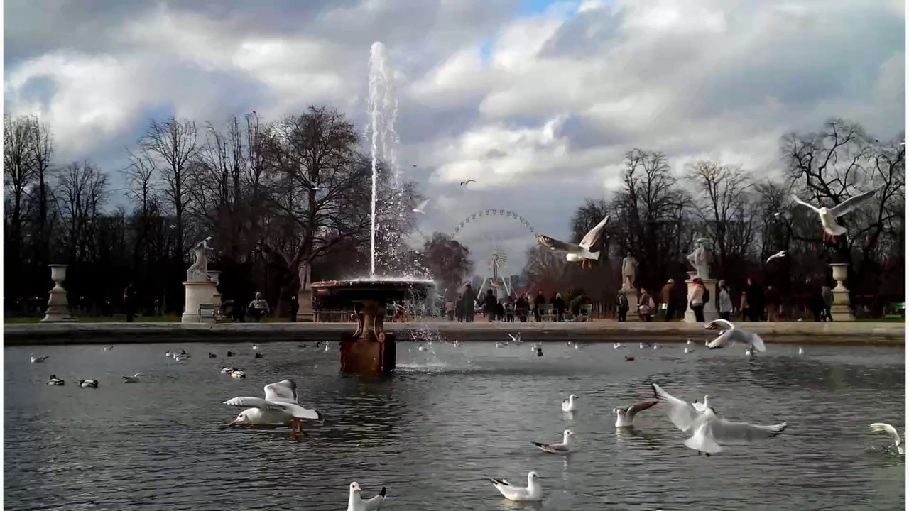 timelapse tuileries