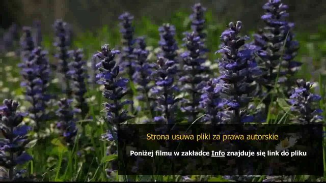 instrukcja zelazka philips azur