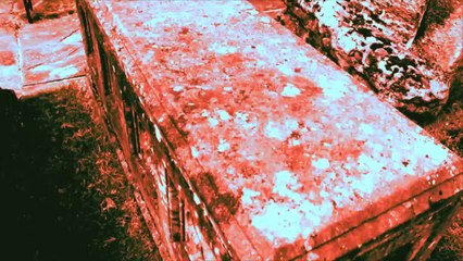 A Trip - The Train /Full Film/Ganzer Film/Complete Movie