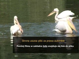 instrukcja obslugi yaris 2003