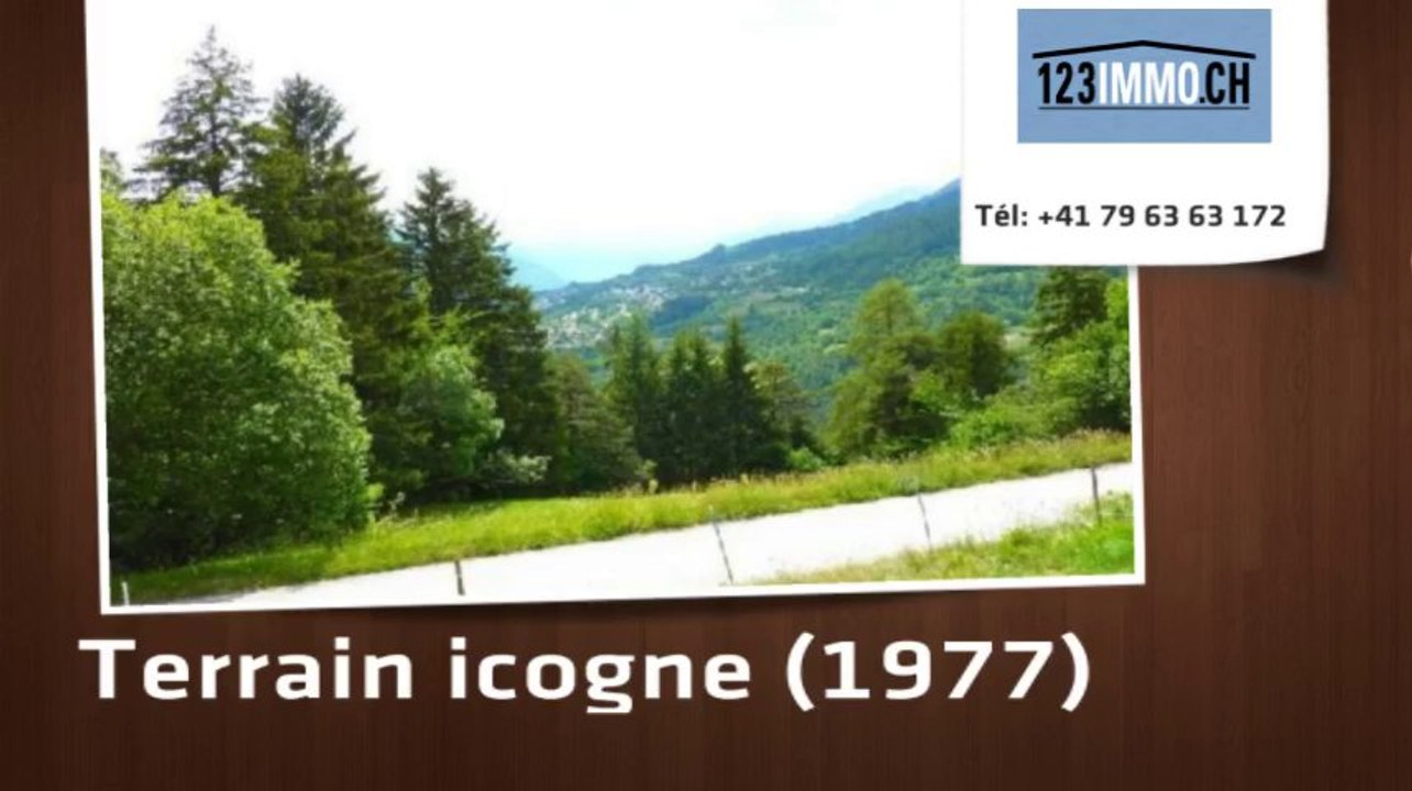 Vente terrain 1977 icogne