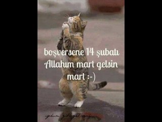 SEDA TRİPKOLİK  &&  ÜŞÜYORUM