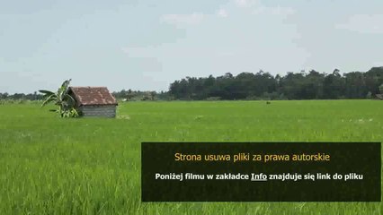 Download Video: poradnik dla poczatkujacych ewa farna