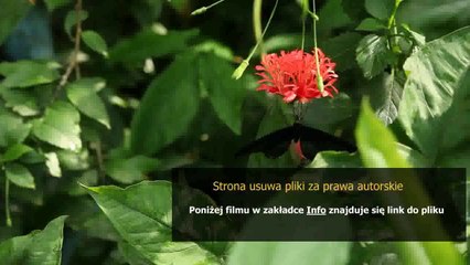 kupon na zakupy reserved