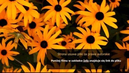 sposob na tesciowa chomikuj pl