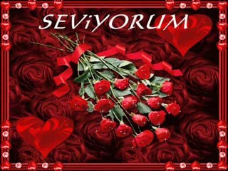 Selin Seni Seviyorum