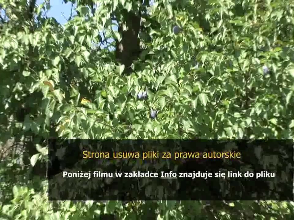 instrukcja obslugi opel vectra b pdf