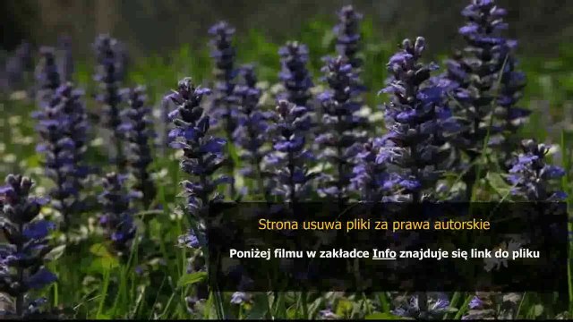 instrukcja obslugi zmywarki electrolux reallife xxl