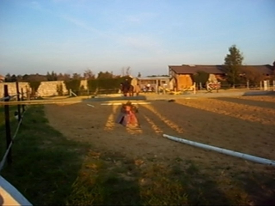 S6000325