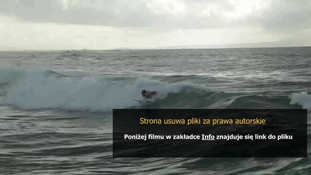 instrukcja obslugi vw passat b6 do pobrania