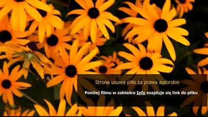 service manual sony ericsson z520i