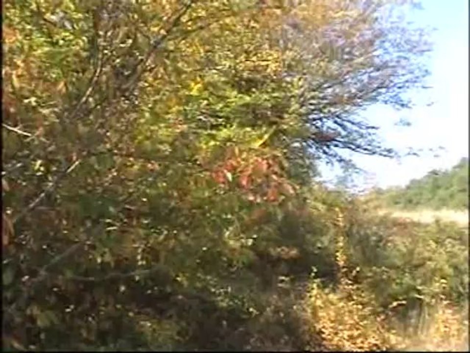 anneciğim