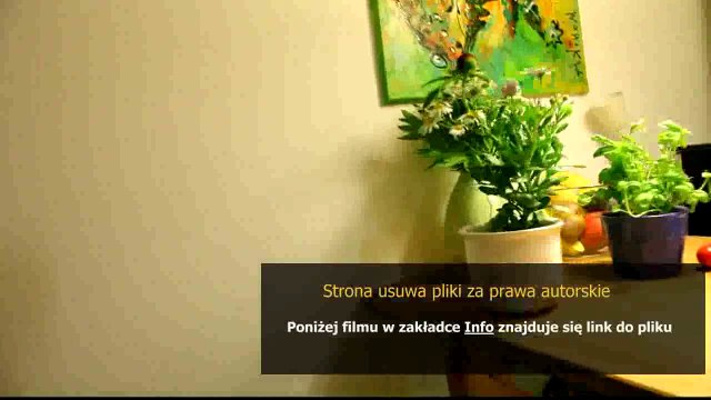 instrukcja samsung galaxy y pro duos